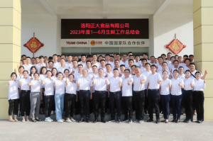 總結過去，計劃未來，協(xié)同創(chuàng)新，再創(chuàng)佳績！洛陽正大舉行2023年上半年工作總結會議