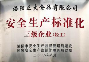 安全生產(chǎn)標(biāo)準(zhǔn)化三級(jí)企業(yè)